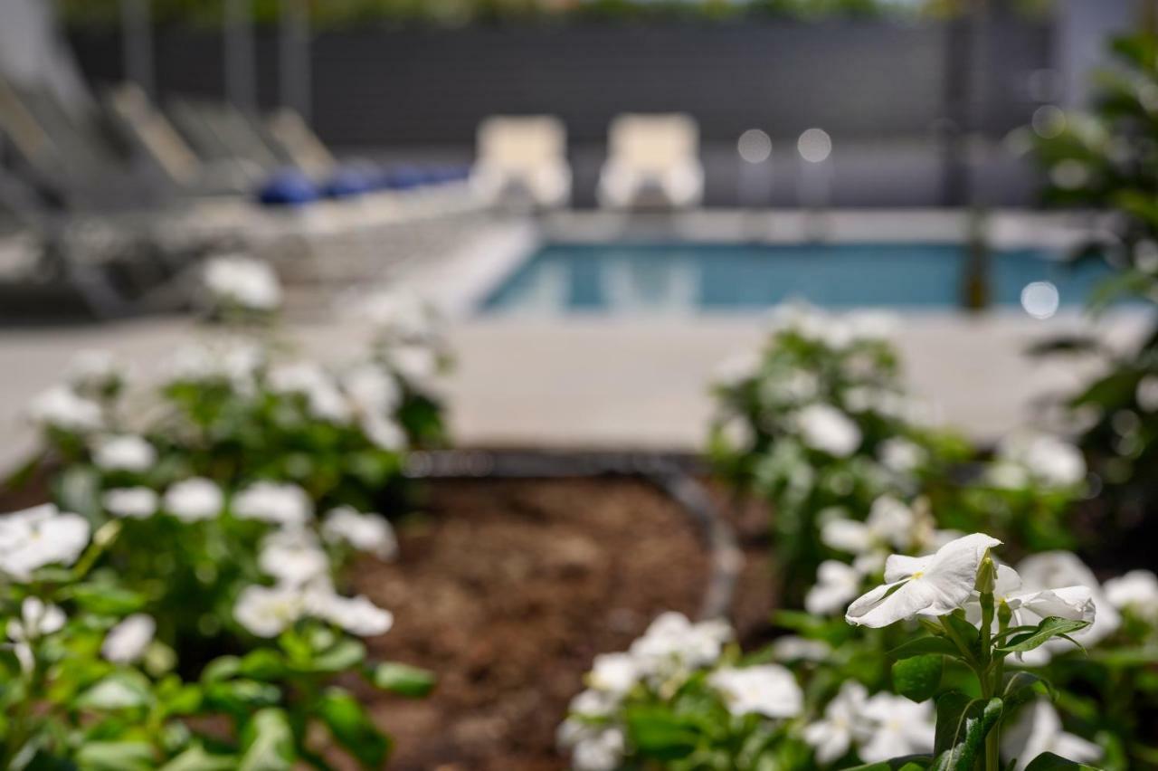 Athina Suites Luxury Suites Near The Sea Platanias Platanias  Exterior photo